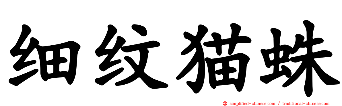 细纹猫蛛