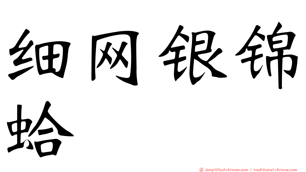 细网银锦蛤