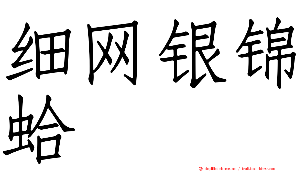 细网银锦蛤