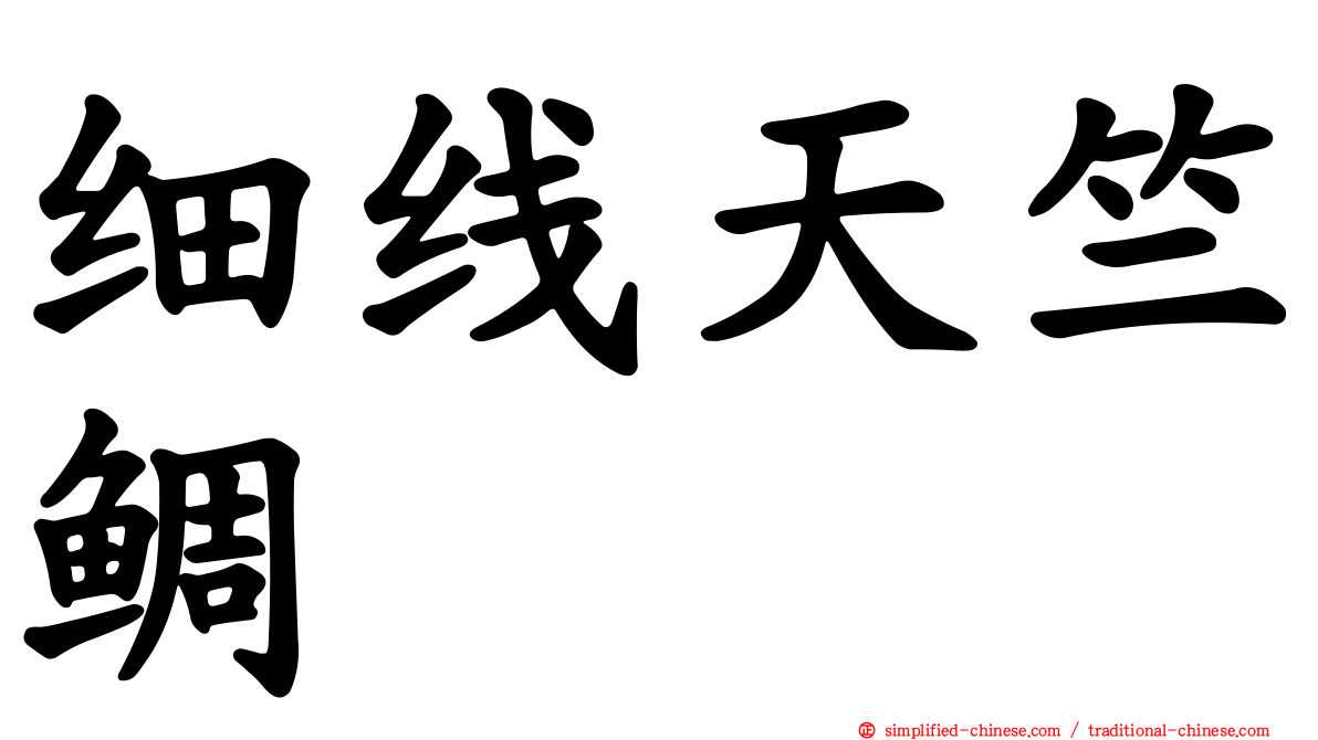 细线天竺鲷