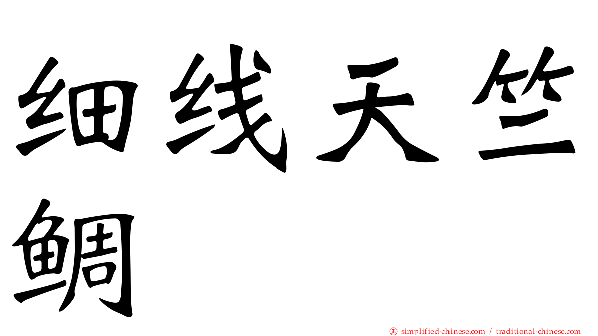 细线天竺鲷
