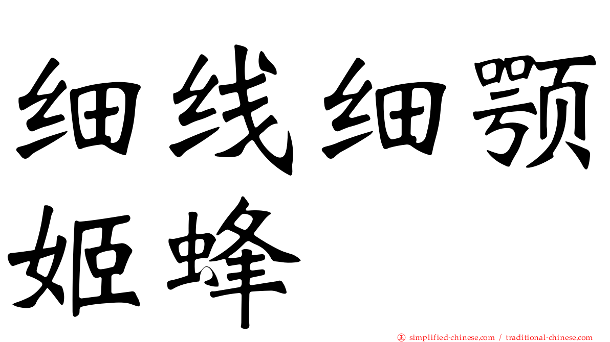 细线细颚姬蜂