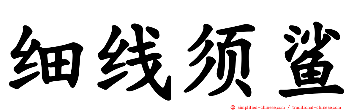 细线须鲨