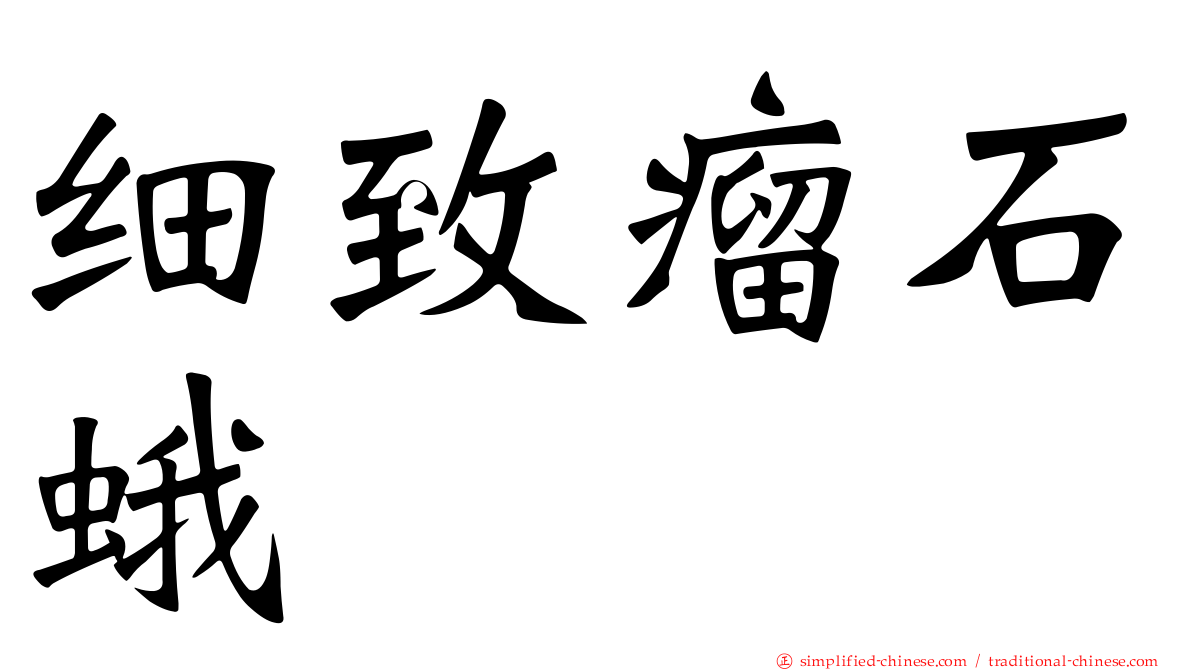 细致瘤石蛾