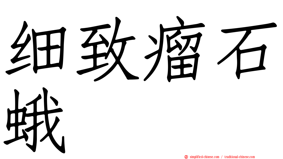 细致瘤石蛾