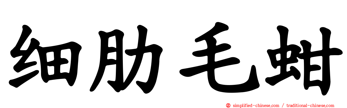 细肋毛蚶