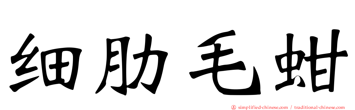 细肋毛蚶