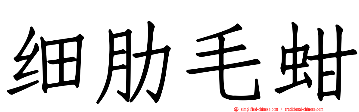 细肋毛蚶