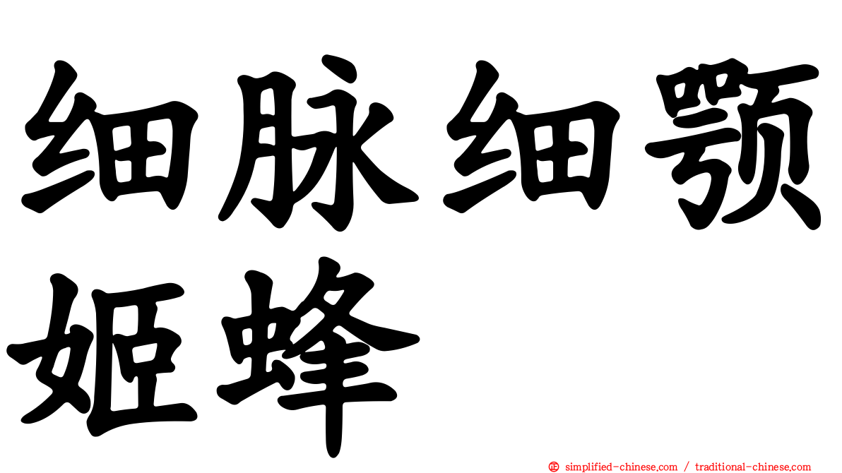 细脉细颚姬蜂