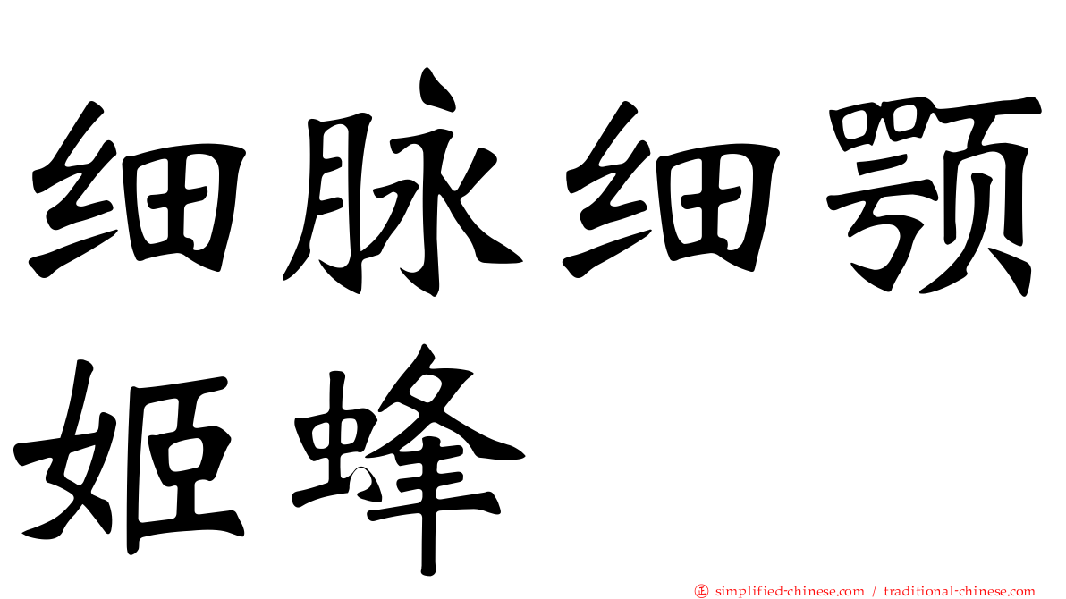 细脉细颚姬蜂