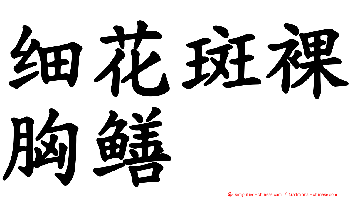 细花斑裸胸鳝