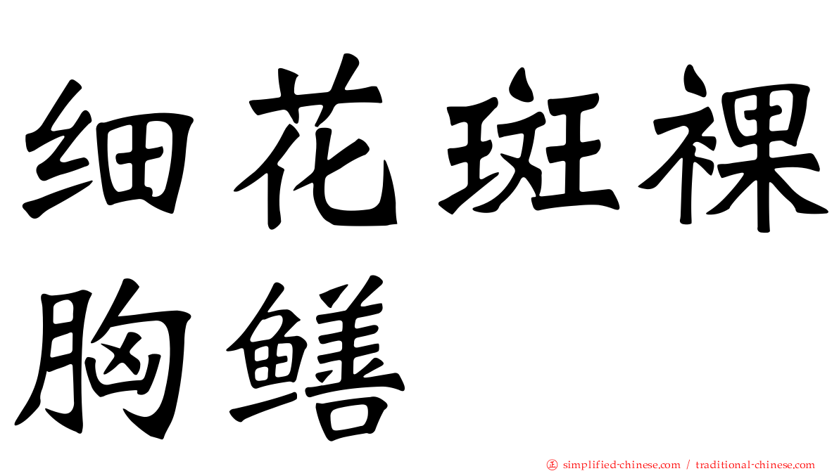 细花斑裸胸鳝