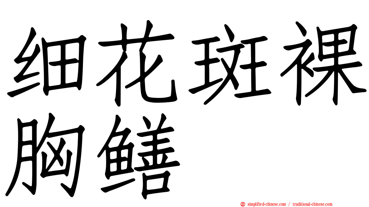 细花斑裸胸鳝