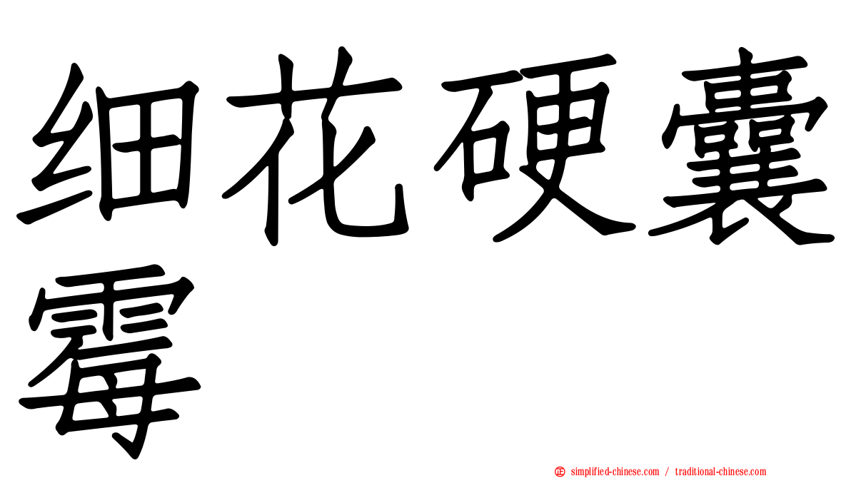 细花硬囊霉