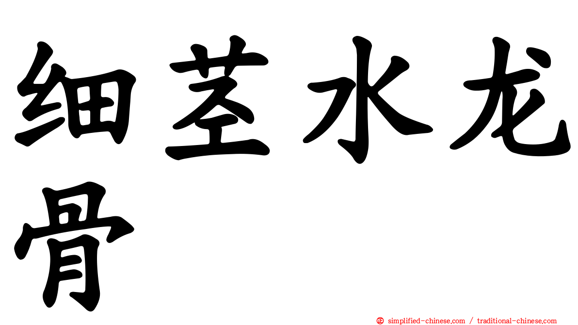 细茎水龙骨