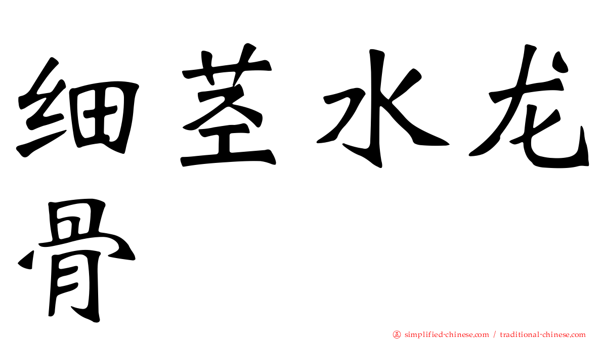 细茎水龙骨