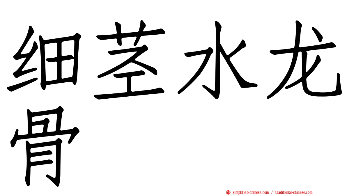细茎水龙骨