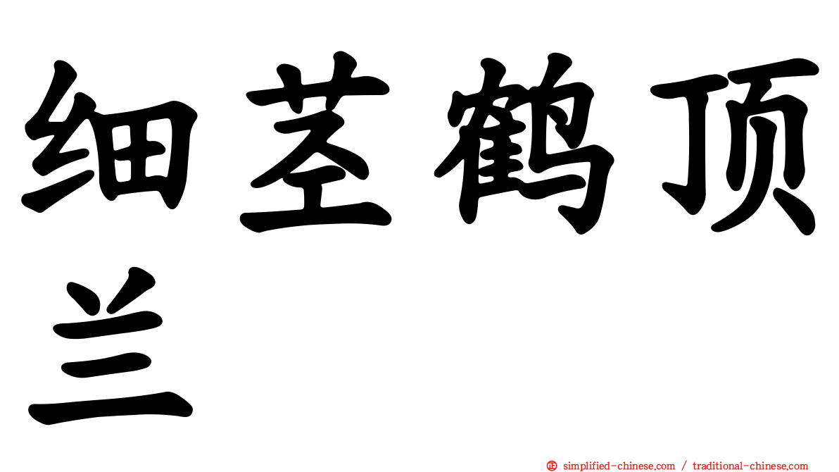细茎鹤顶兰