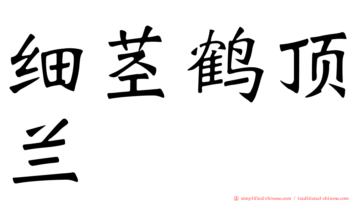 细茎鹤顶兰
