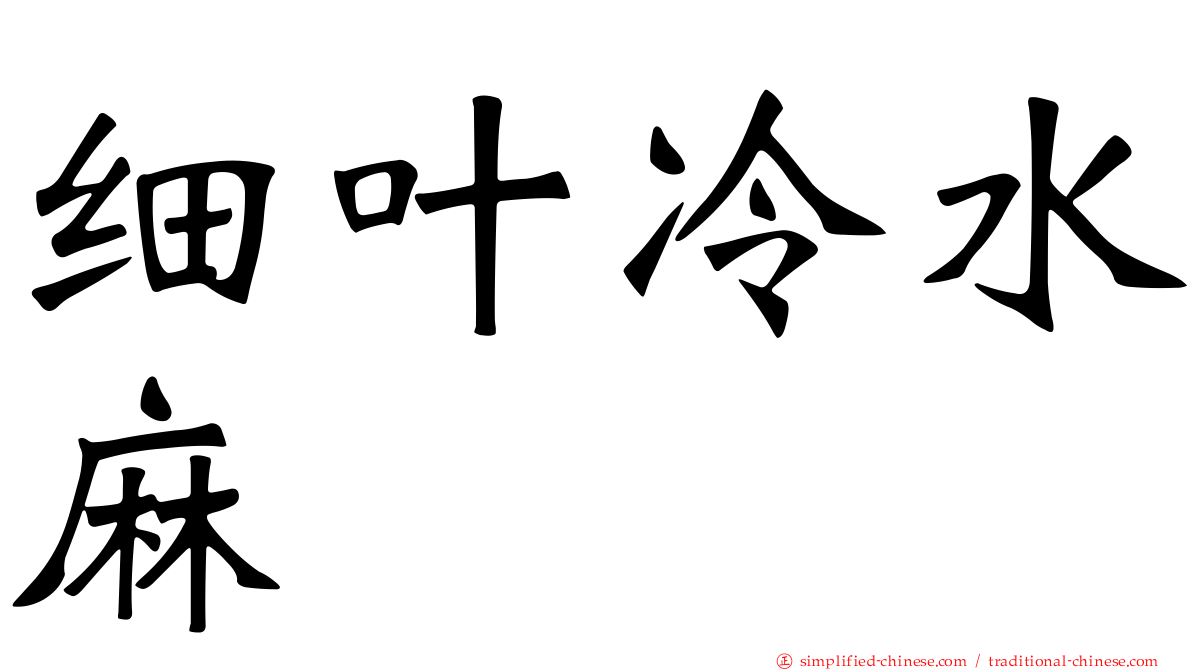 细叶冷水麻