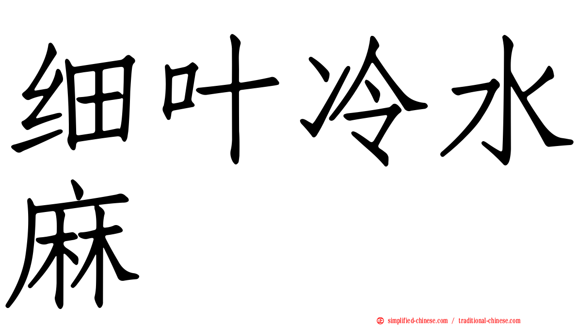 细叶冷水麻