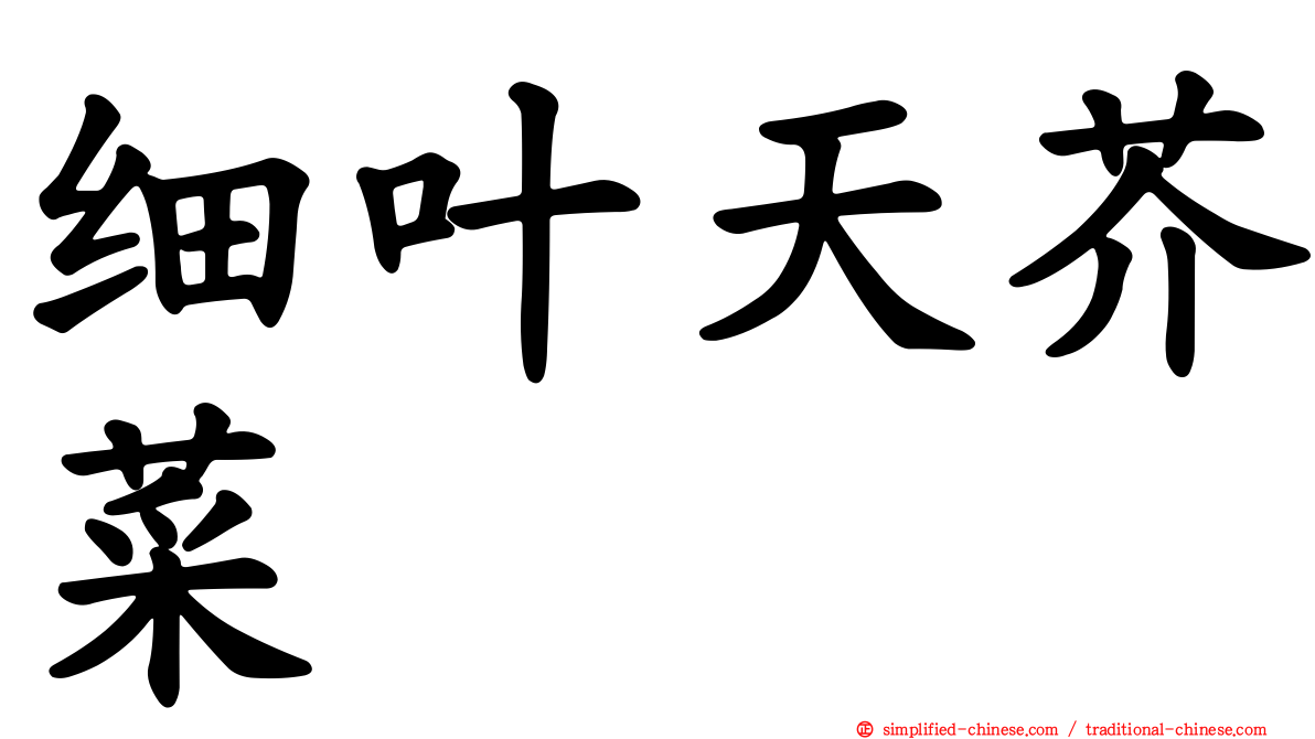 细叶天芥菜