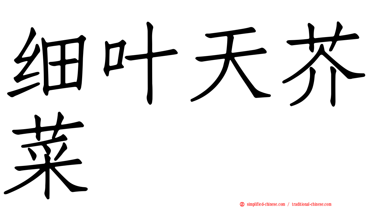 细叶天芥菜