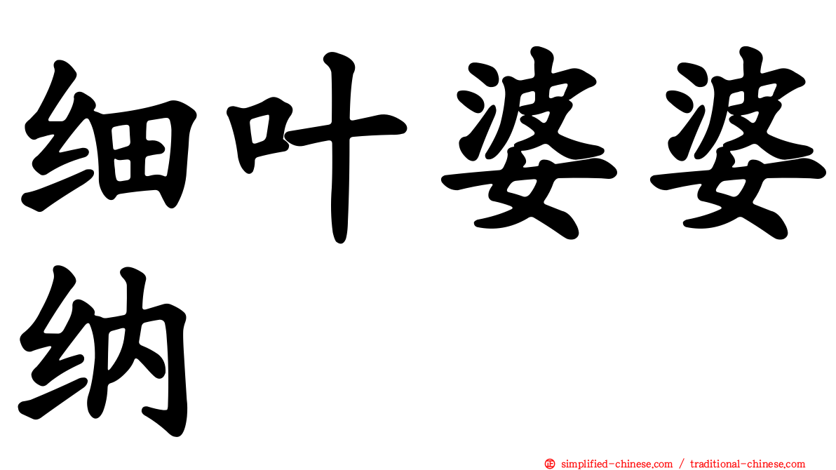 细叶婆婆纳