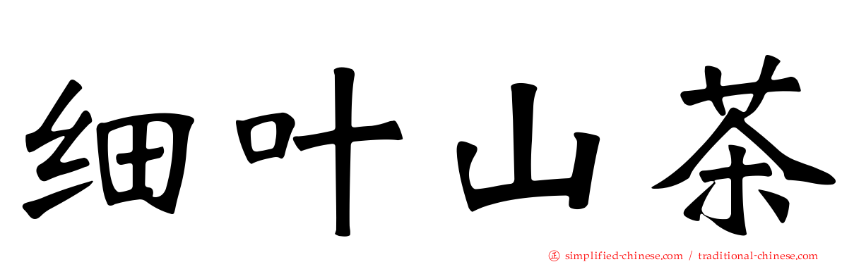 细叶山茶