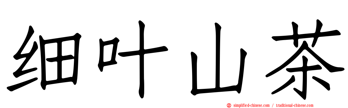 细叶山茶
