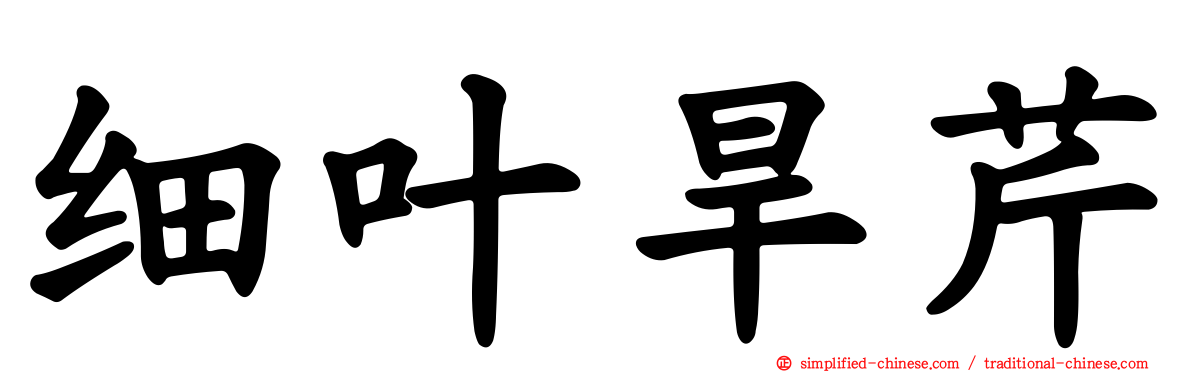细叶旱芹