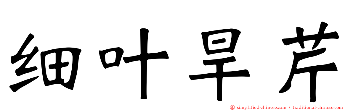 细叶旱芹