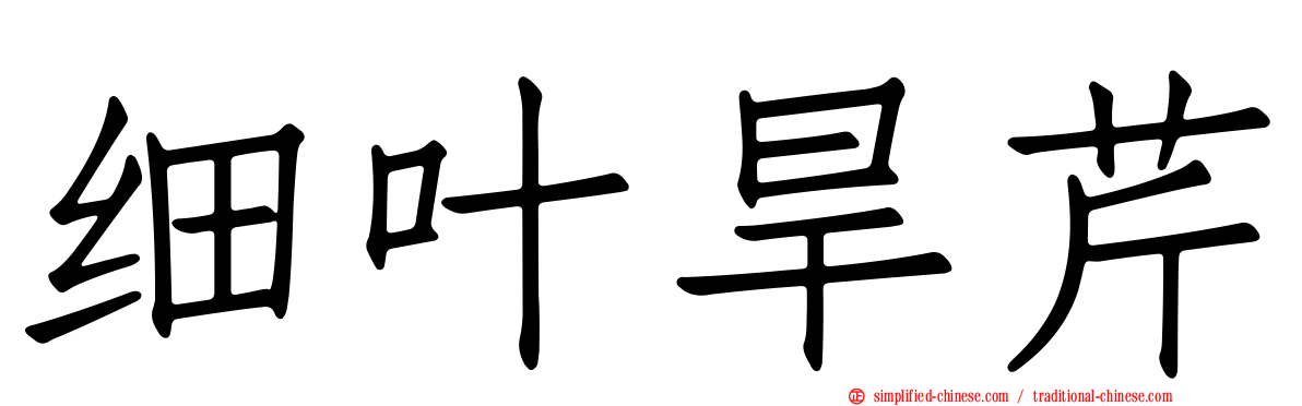 细叶旱芹