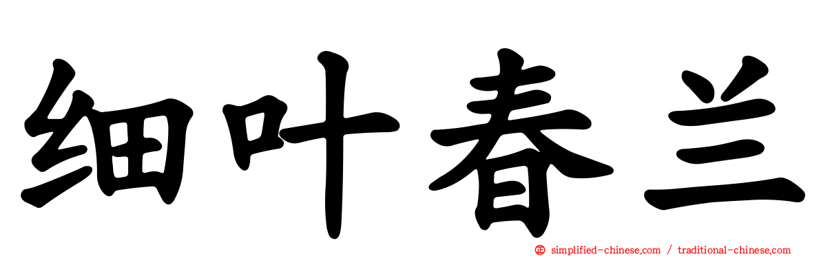 细叶春兰