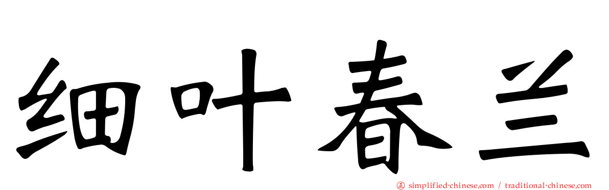 细叶春兰