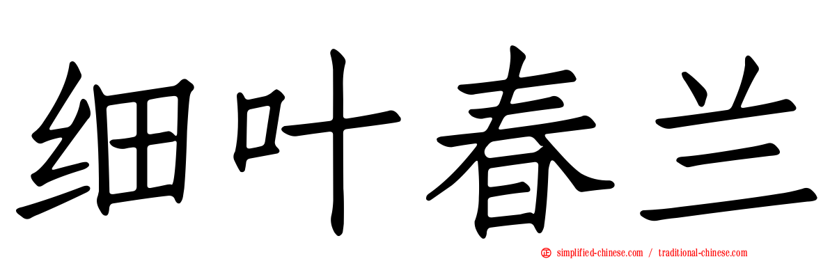 细叶春兰