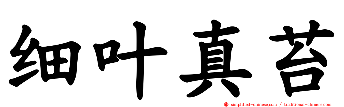 细叶真苔
