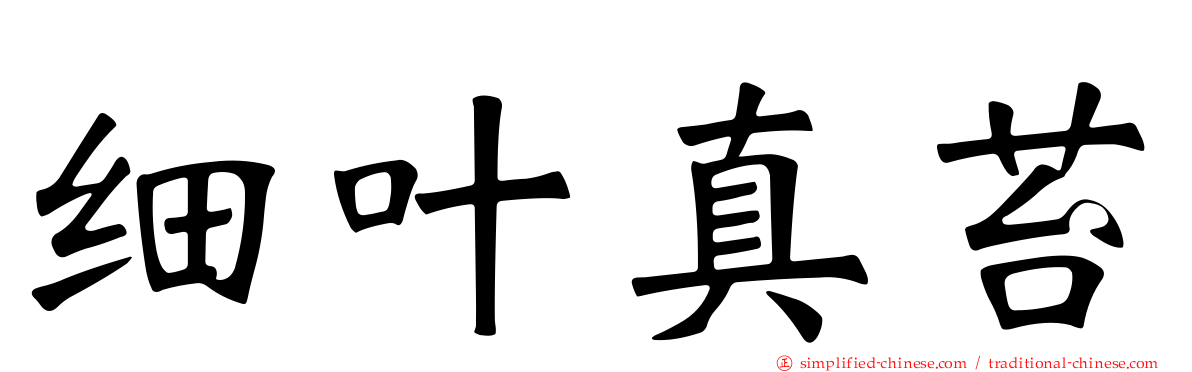 细叶真苔