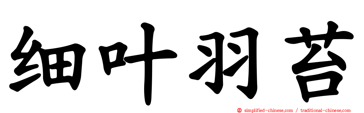 细叶羽苔