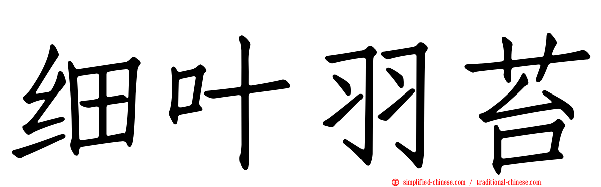 细叶羽苔