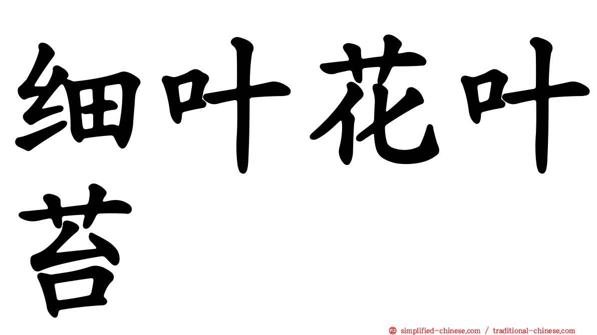细叶花叶苔