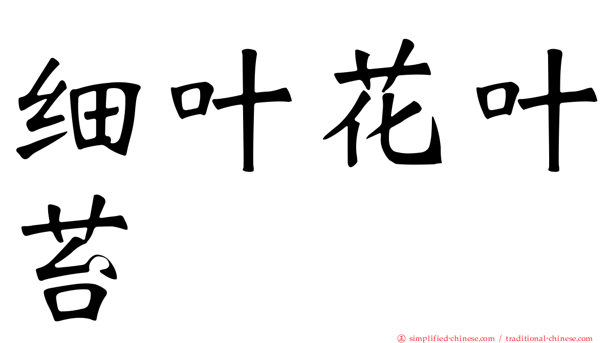 细叶花叶苔