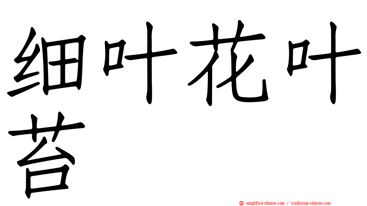 细叶花叶苔