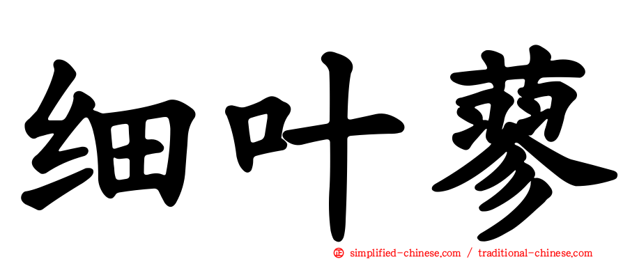 细叶蓼