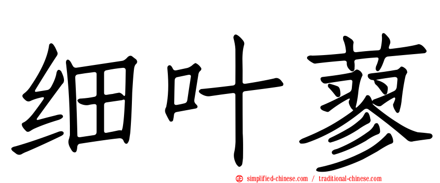 细叶蓼