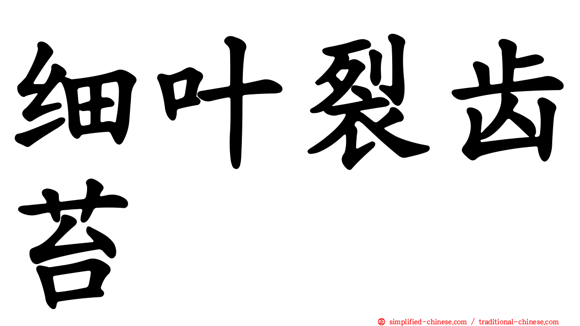 细叶裂齿苔