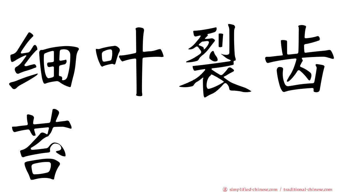 细叶裂齿苔