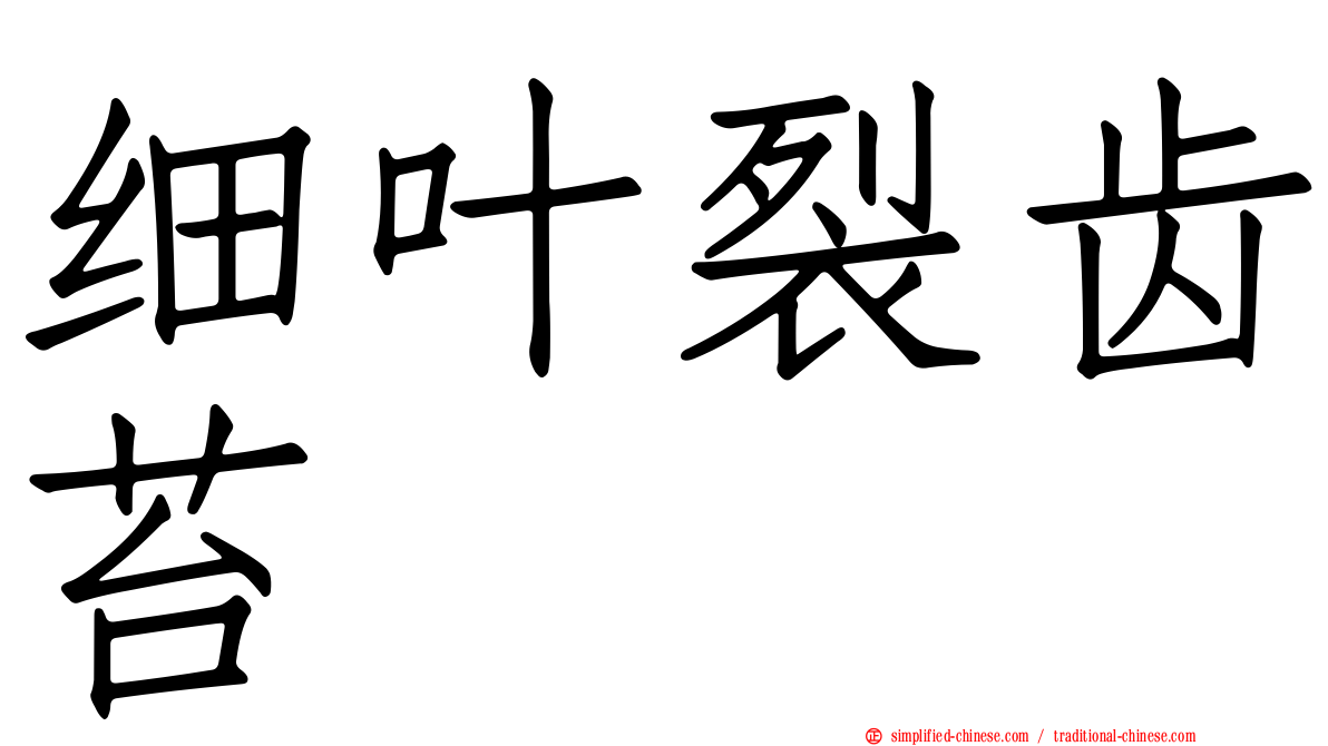 细叶裂齿苔