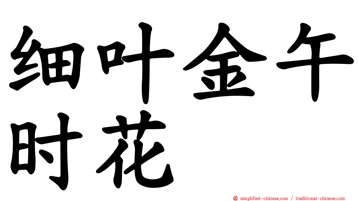 细叶金午时花