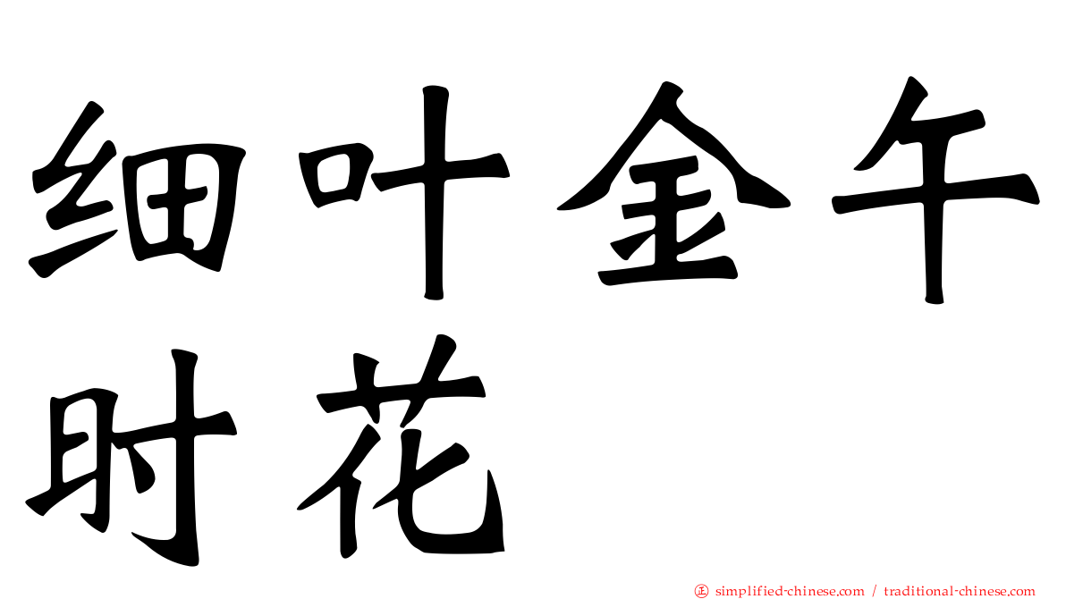 细叶金午时花
